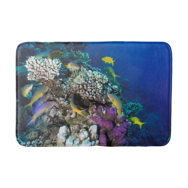 Goatfish Swarm Around Small Coral Bath Mat (Front)