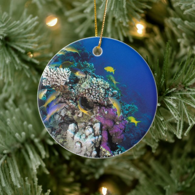Goatfish Swarm Around Small Coral Ceramic Ornament (Tree)