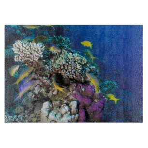Goatfish Swarm Around Small Coral Cutting Board