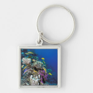Goatfish Swarm Around Small Coral Keychain