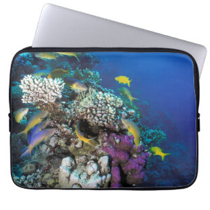 Goatfish Swarm Around Small Coral Laptop Sleeve