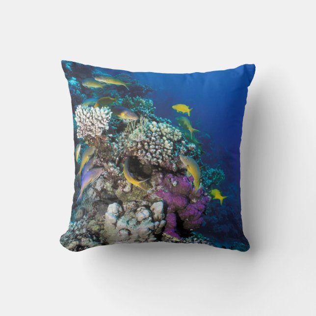 Goatfish Swarm Around Small Coral Throw Pillow (Front)