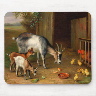 Goats And Chickens At The Farm 1 Mouse Pad