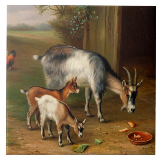Goats And Chickens At The Farm Tile (Front)