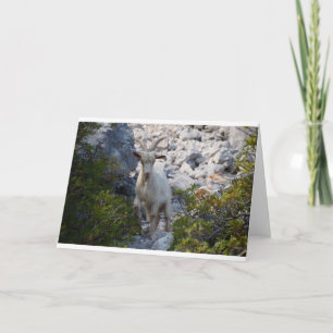 Goats and Goats and Goats (46) Card