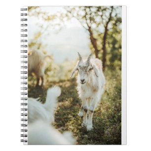 Goats and Goats and Goats (85) Notebook