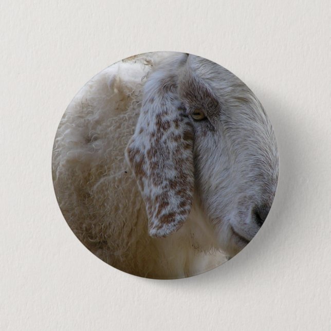 Goats face smiling! 2 inch round button (Front)
