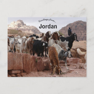 Goats in Petra Jordan Postcard