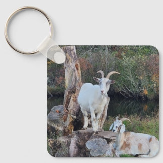 Goats Keychain