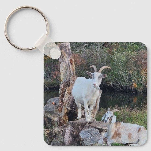 Goats Keychain (Front)