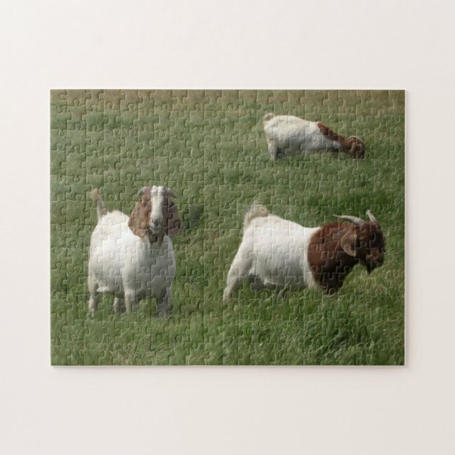 Goats Puzzle (Horizontal)
