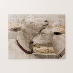 Goats Snuggling Jigsaw Puzzle