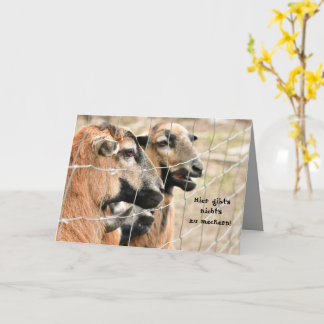 Goats with text in brown tones card