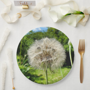 Goatsbeard Wildflower Paper Plate