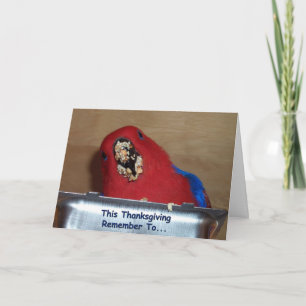 Gobble Holiday Card