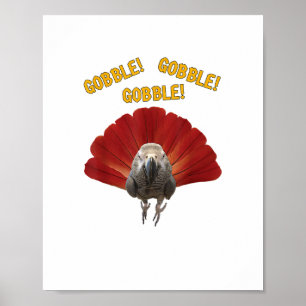 Gobble! Turkey Thanksgiving African Grey Parrot  Poster