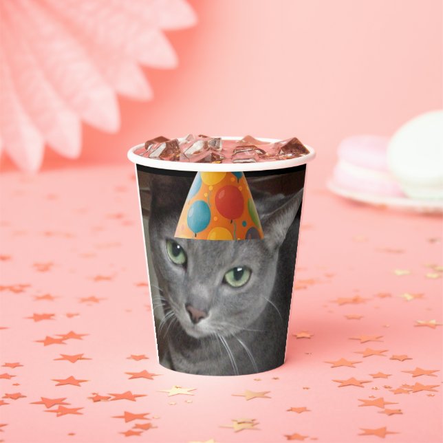 Gobelets En Papier Casquette du parti Gray Cat (Insitu)