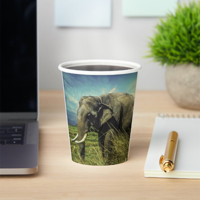 Gobelets En Papier Eléphant (Insitu)