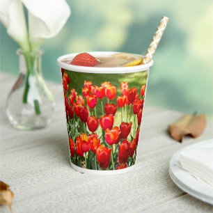 Gobelets En Papier Grand champ de tulipes rouges