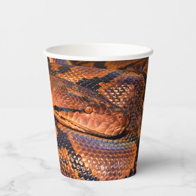 Gobelets En Papier Python Snake (Verso)