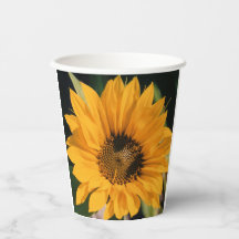 Tasses de papier tournesol