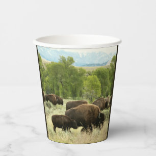 Gobelets En Papier Wyoming Bison Nature Animal Photographie