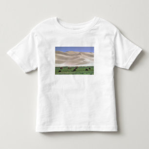 Gobi Desert Wild Horses Toddler T-shirt