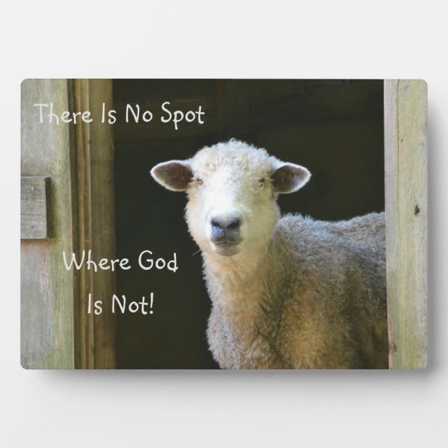 God Is Everywhere Sheep Plaque (Front)