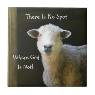 God Is Everywhere Sheep Tile