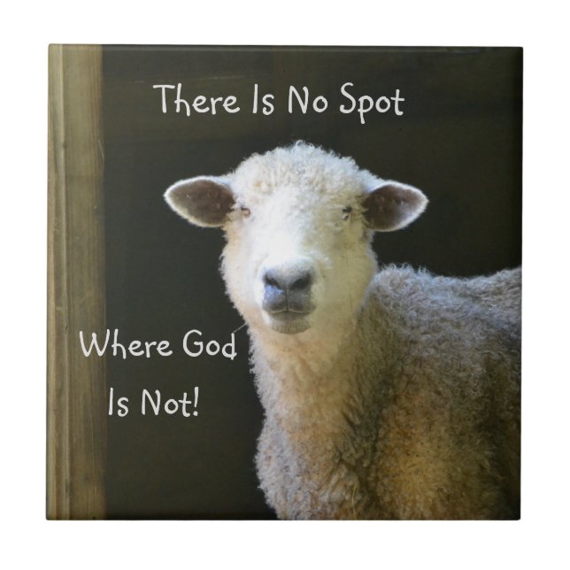 God Is Everywhere Sheep Tile (Front)