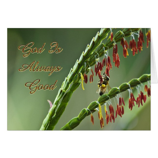 God Is Good Bee (Front Horizontal)