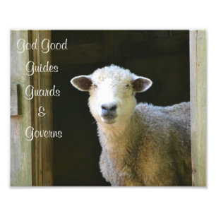 God Is Good Sheep Photo Print