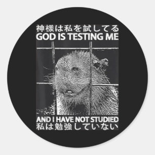 God Is Testing Me And I Have Not Studied Meme Capy Classic Round Sticker
