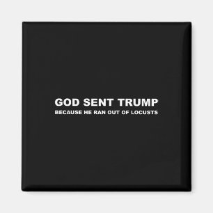 God Sent Trump Because He Ran Out Of Locusts Anti Magnet