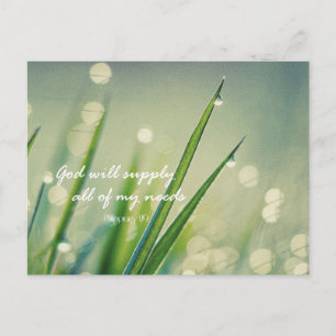 God Will Supply All Needs Bible Verse Quote Postcard