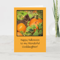Goddaughter Halloween with Kitten and Pumpkins