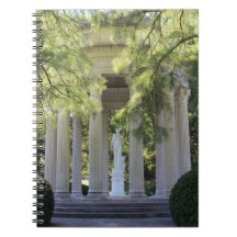 Goddess of protection