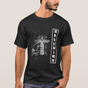 Goddesses Ancient Assyria Sumerian Flags Scientist T-Shirt