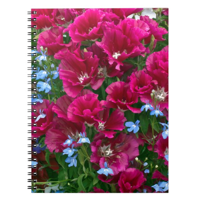 Godetia And Lobelia Gifts Notebook (Front)