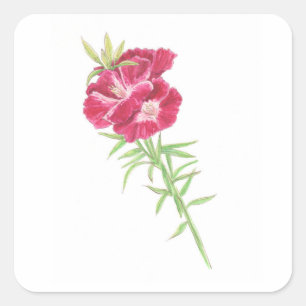 Godetia square sticker
