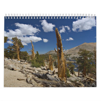 God's Creation Calendar