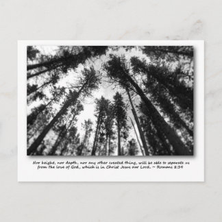 God's love post cards