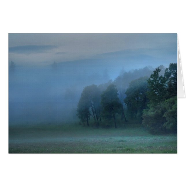 God's Pasture, Misty Forest & Field Nature Scene 2 (Front Horizontal)