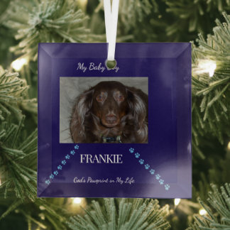 God's Pawprint Keepsake Glass Ornament
