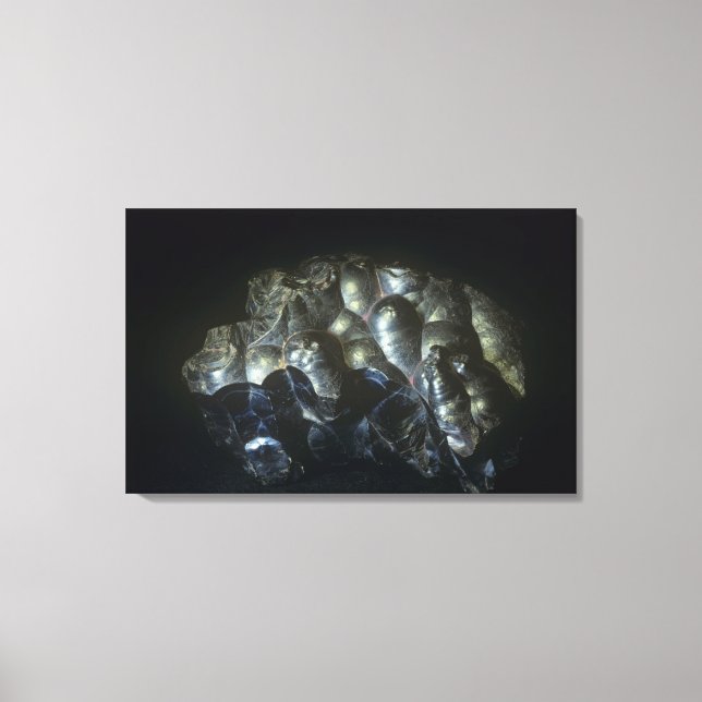 Goethite is an important ore of iron canvas print (Front)