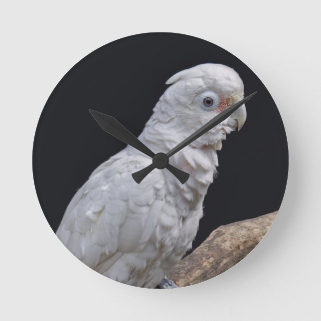 Goffin's Cockatoo Clock (Front)