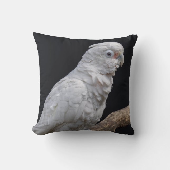 Goffin's Cockatoo Pillow (Front)
