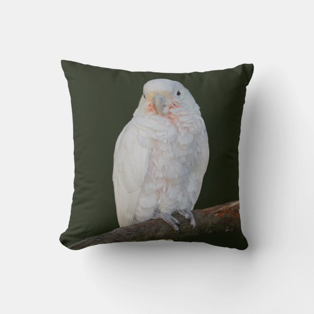 Goffy Pillow (Front)