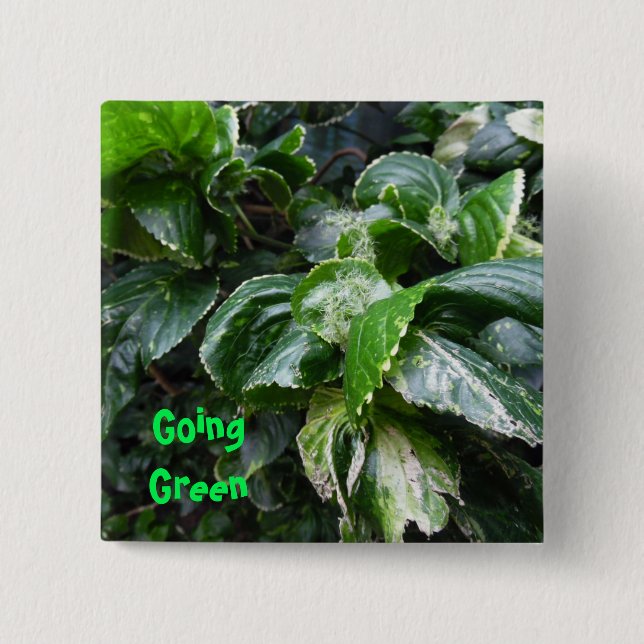 Going Green house plants 2 Inch Square Button (Front)