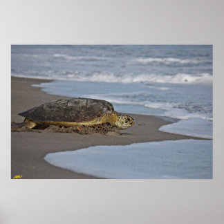 Going Home II Poster